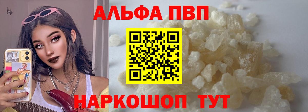 A PVP СК Элиста