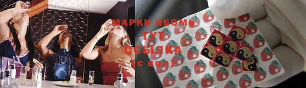 хмурый Абаза