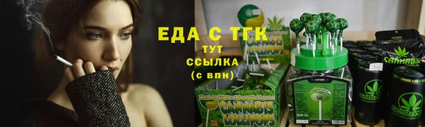 индика Елизово