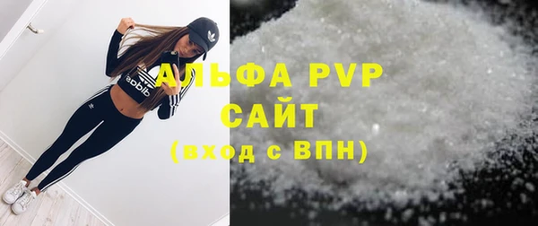 хмурый Абаза