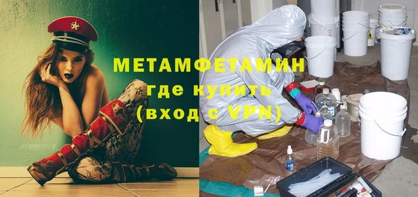 сатива Ельня
