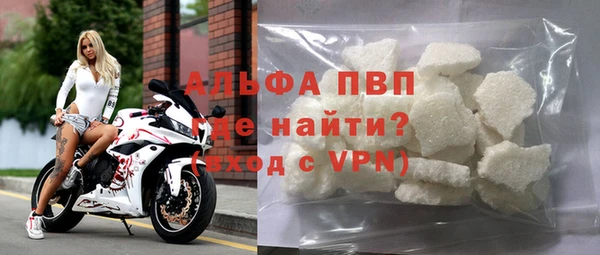 хмурый Абаза