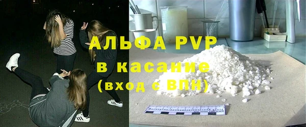хмурый Абаза