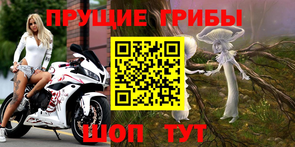 Галлюциногенные грибы прущие грибы  Псилоцибиновые грибы ЛСД  Вход с VPN  Элиста 