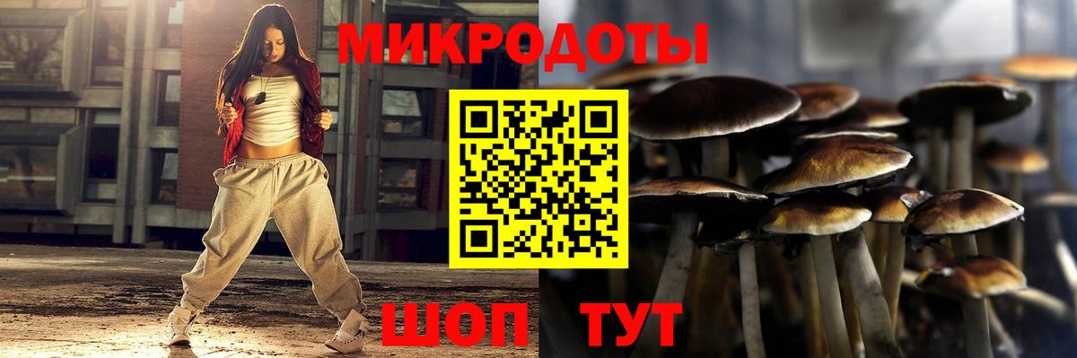 Галлюциногенные грибы Cubensis Элиста